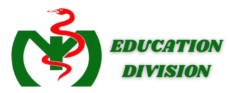 Artificial Intelligence Education Solutions
